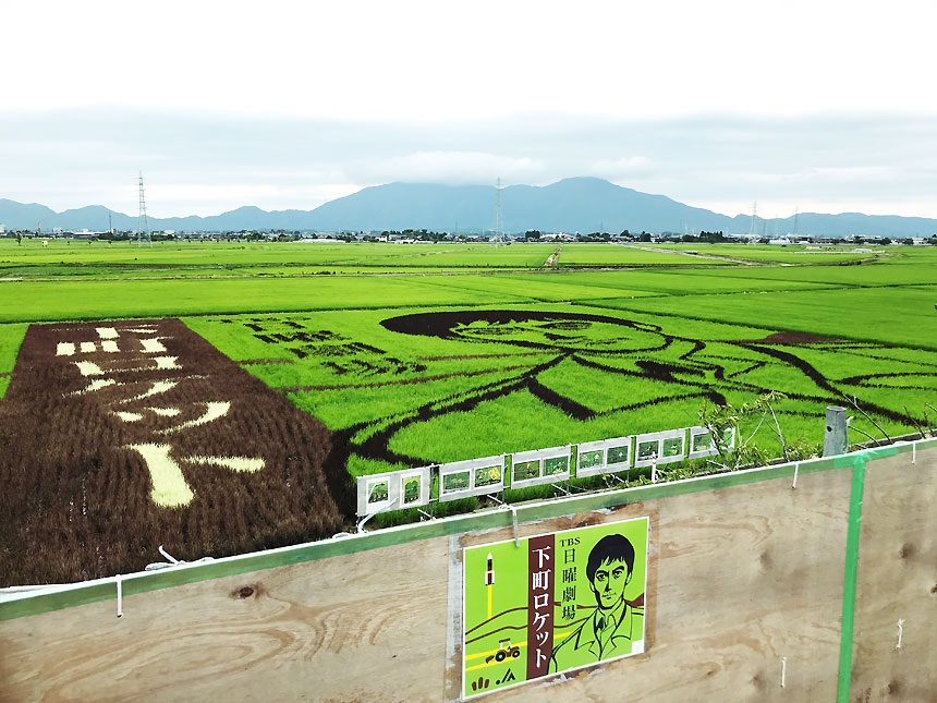 あの感動をふたたび 下町ロケットが田んぼアートになりました 弥彦